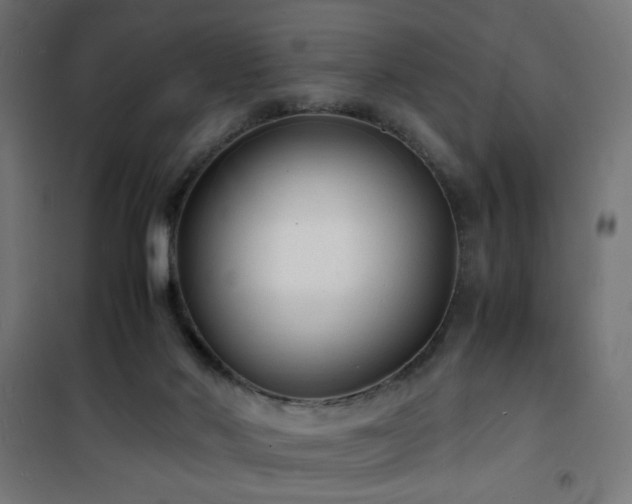 X0000101480022200807141426