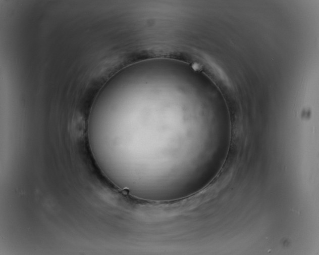 X0000101480025200807141426