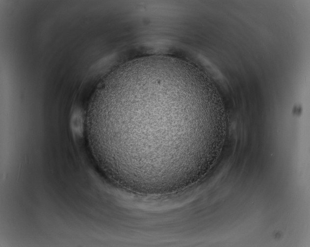 X0000101480026200807141426