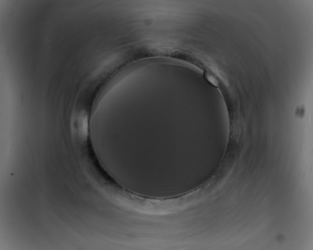 X0000101480027200807141426