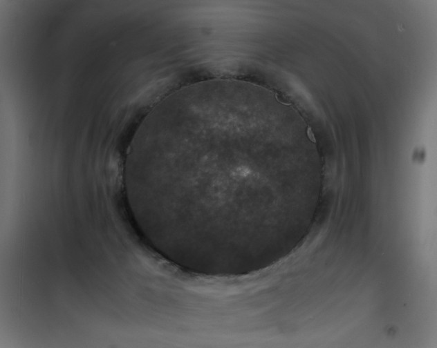 X0000101480029200807141426