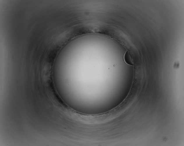 X0000101480030200807141426