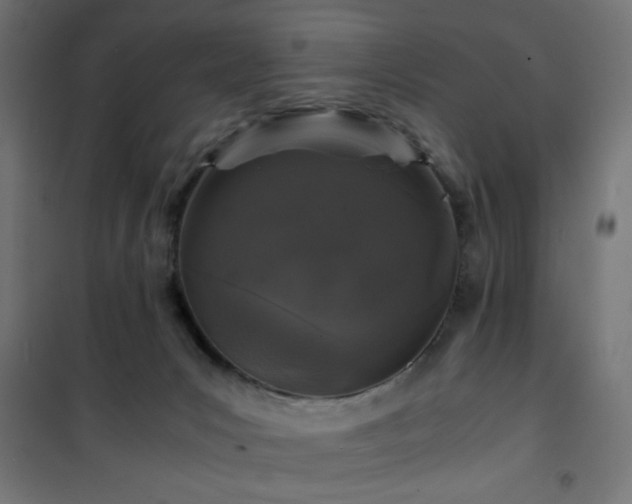 X0000101480031200807141426