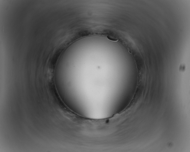 X0000101480033200807141426