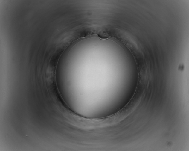 X0000101480034200807141426