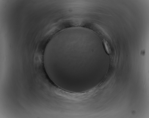 X0000101480035200807141426