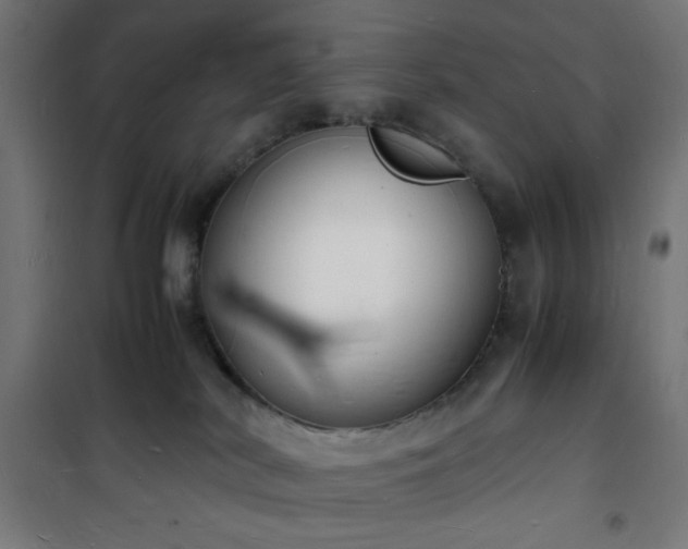 X0000101480038200807141426