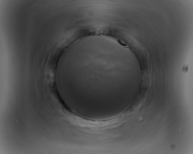 X0000101480039200807141426