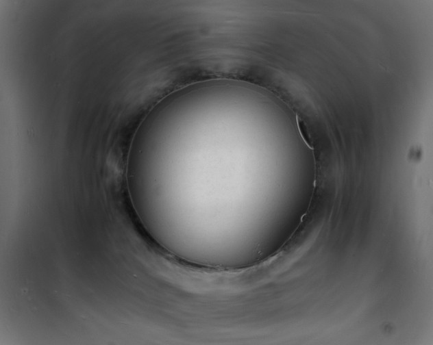 X0000101480040200807141425