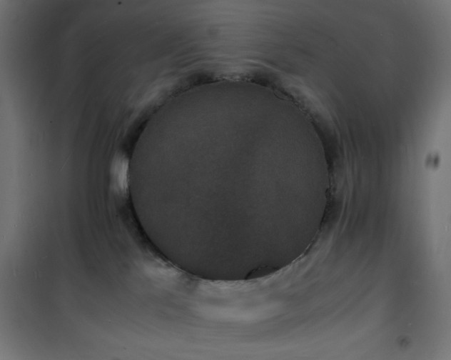 X0000101480041200807141425