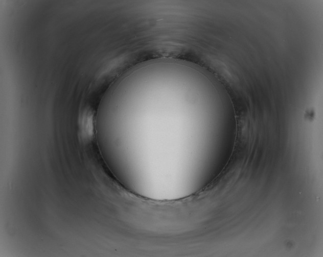 X0000101480042200807141425