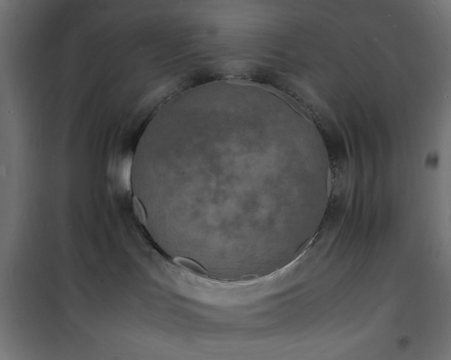 X0000101480047200807141425