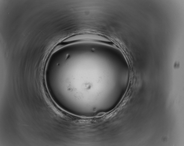 X0000101480049200807141425