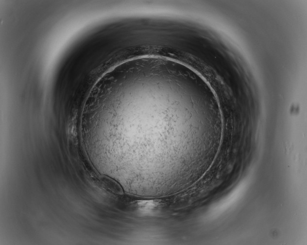 X0000101480050200807141425
