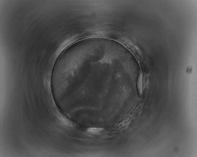 X0000101480051200807141425