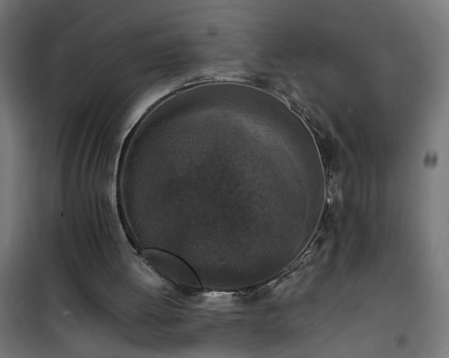 X0000101480052200807141425