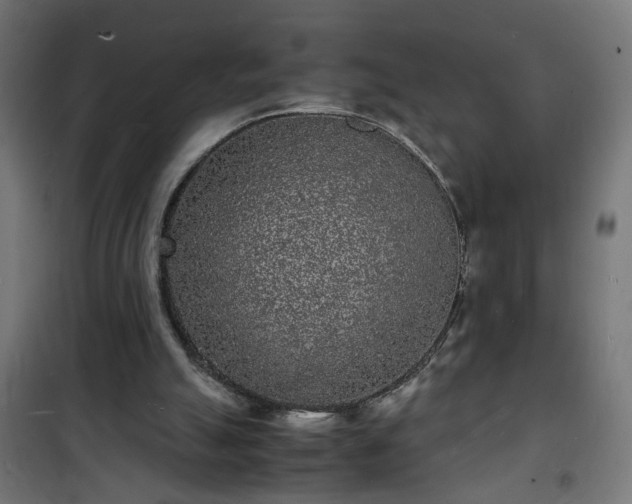 X0000101480055200807141425