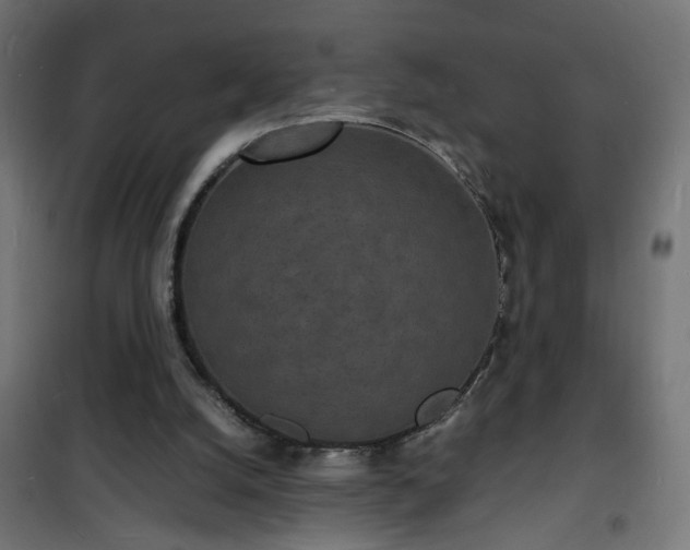 X0000101480056200807141425