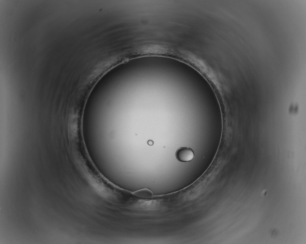 X0000101480057200807141425