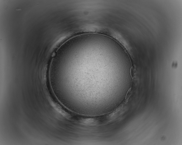 X0000101480058200807141425