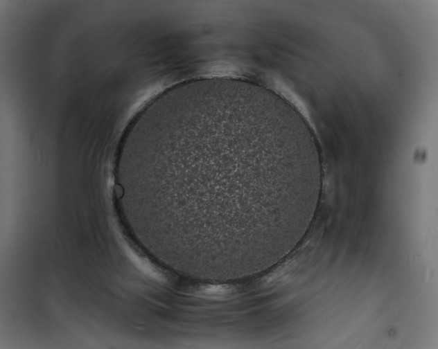 X0000101480059200807141425