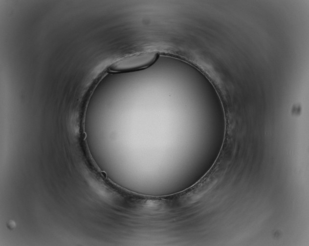 X0000101480060200807141425