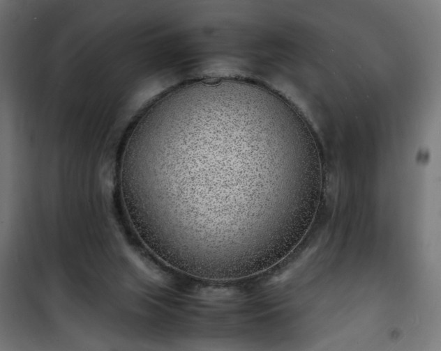 X0000101480063200807141425