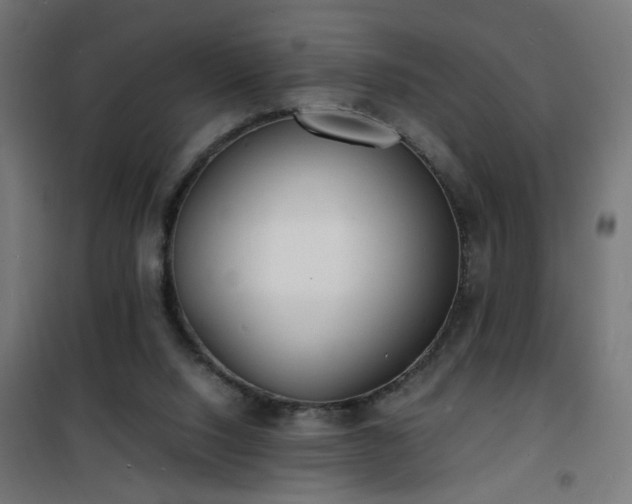 X0000101480064200807141425