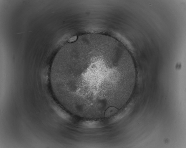 X0000101480065200807141425