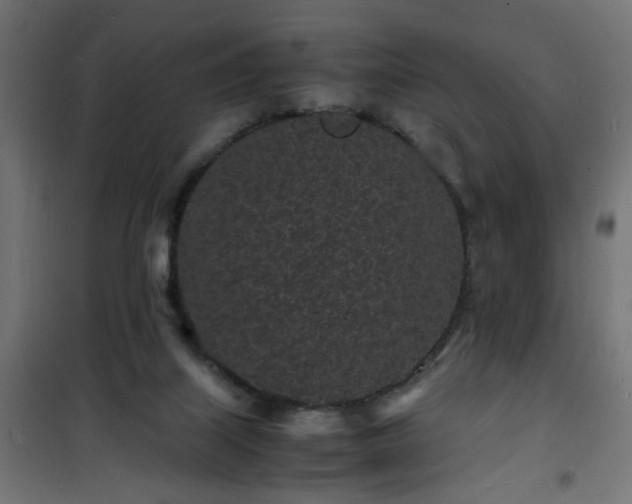 X0000101480067200807141425