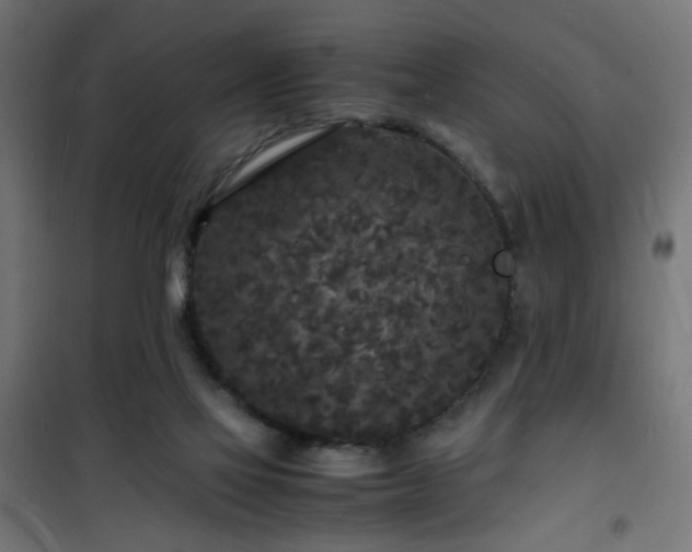 X0000101480069200807141425