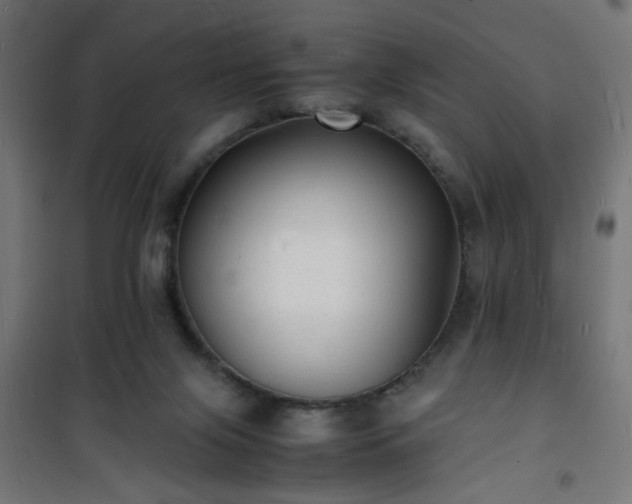 X0000101480071200807141425