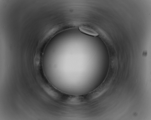 X0000101480072200807141425