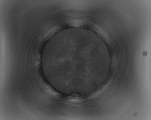 X0000101480073200807141425