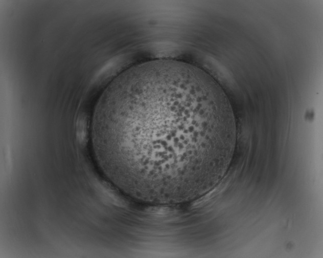 X0000101480074200807141425