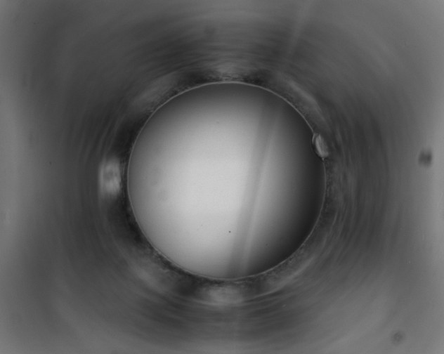 X0000101480075200807141425