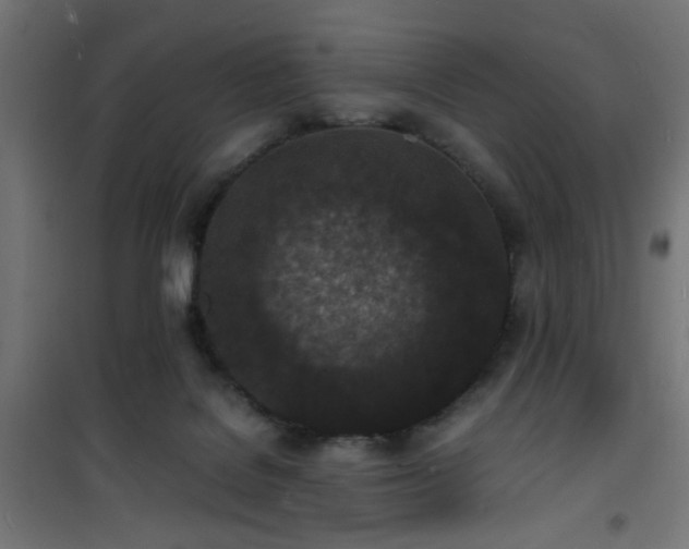 X0000101480076200807141425