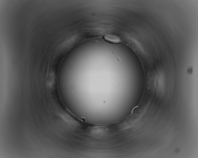 X0000101480077200807141425