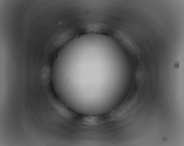 X0000101480079200807141425