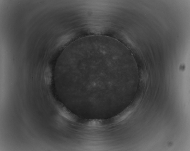 X0000101480080200807141425