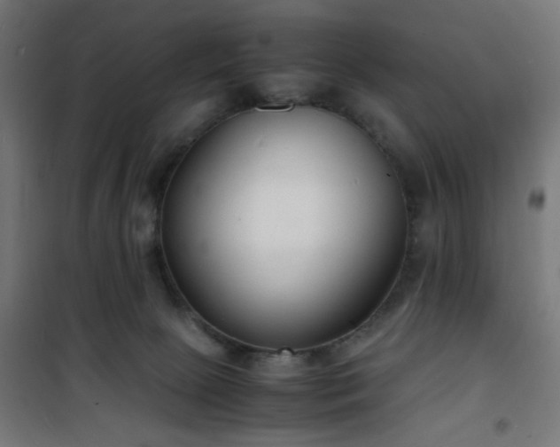 X0000101480081200807141425