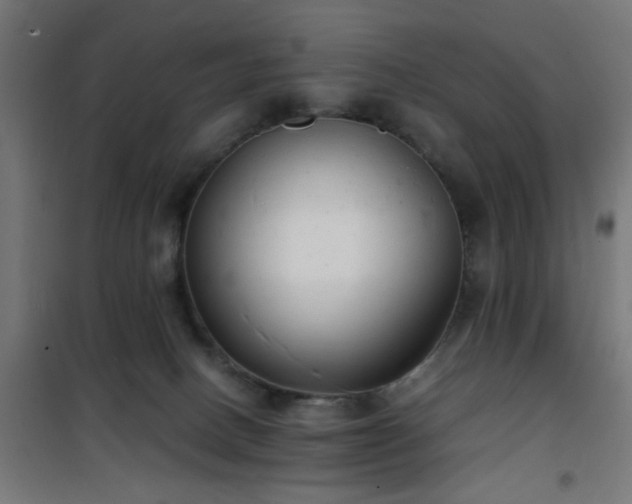 X0000101480082200807141425