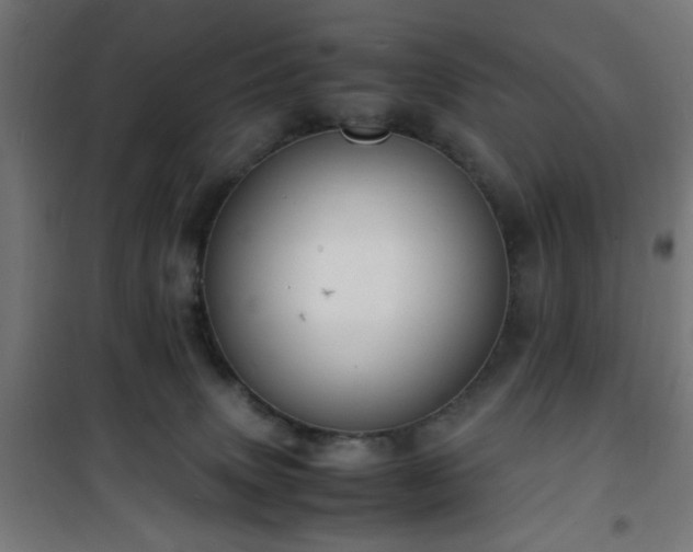 X0000101480083200807141425