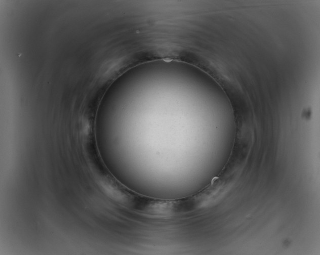 X0000101480084200807141425