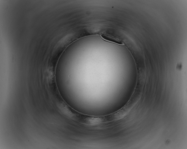 X0000101480085200807141425