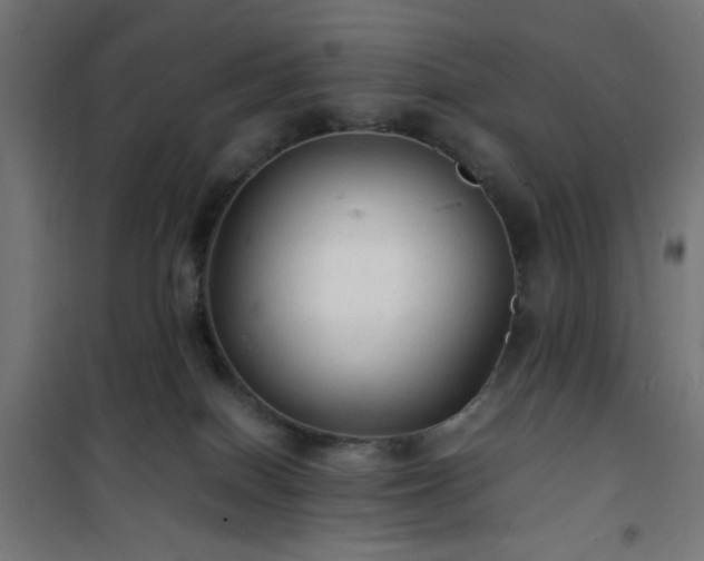 X0000101480086200807141425