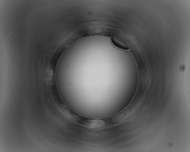 X0000101480087200807141425