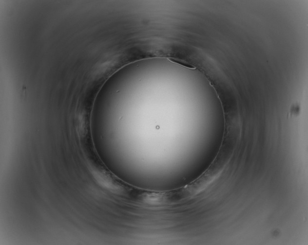 X0000101480088200807141425