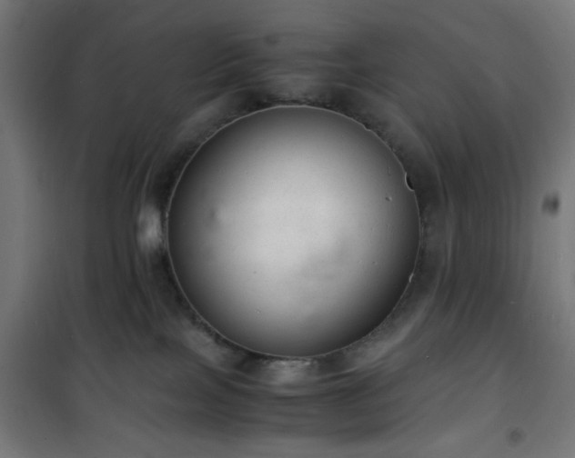 X0000101480089200807141425