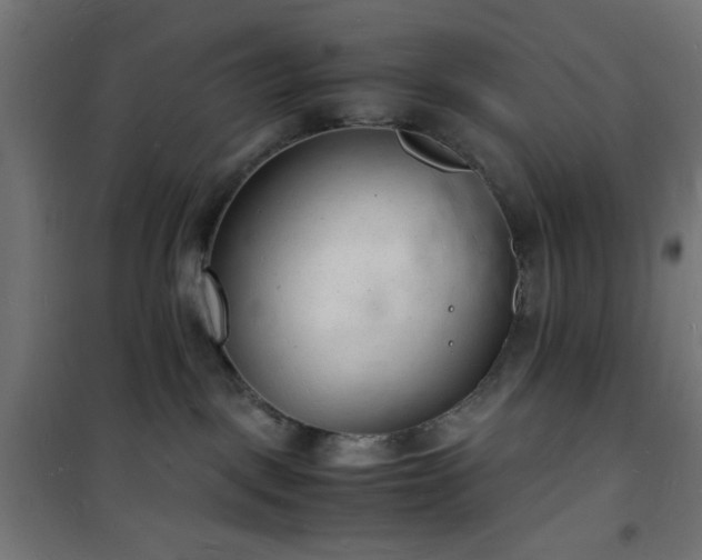 X0000101480093200807141425